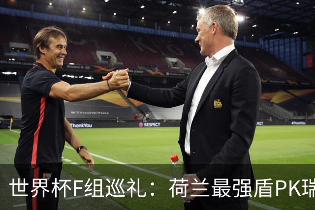 世界杯F组巡礼：荷兰最强盾PK瑞典犀利刀 日本短板明显