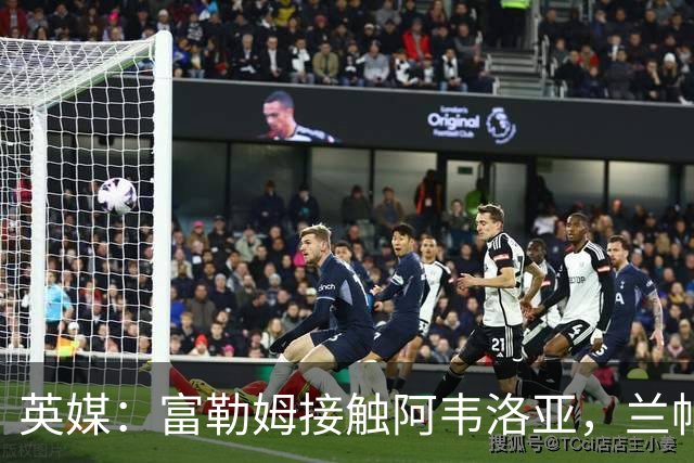 英媒：富勒姆接触阿韦洛亚，兰帕德和阿莫林也是其帅位候选